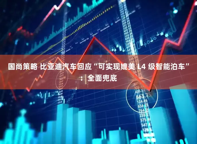 国尚策略 比亚迪汽车回应“可实现媲美 L4 级智能泊车”：全面兜底